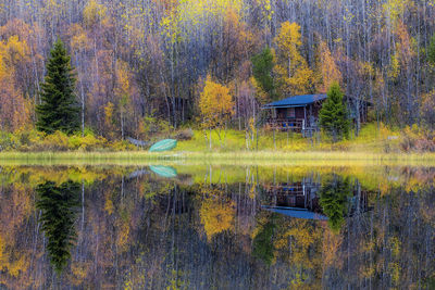 Scenic view of lake in forest during autumn