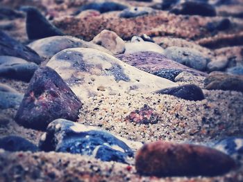 Close-up of stones on beach