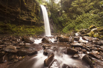 View of waterfall in forest