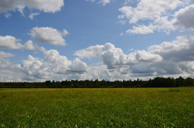 Scenic view of field against sky