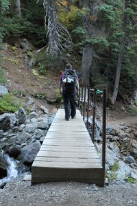 Rear view of man standing on rock in forest