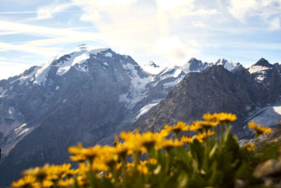 Scenic view of snowcapped mountains against sky