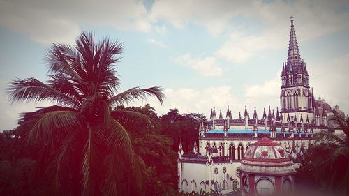 Palm trees with buildings in background