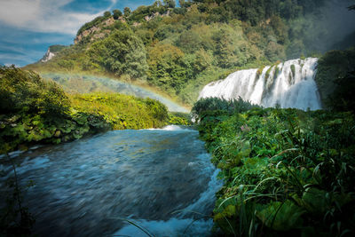 Scenic view of waterfall in forest