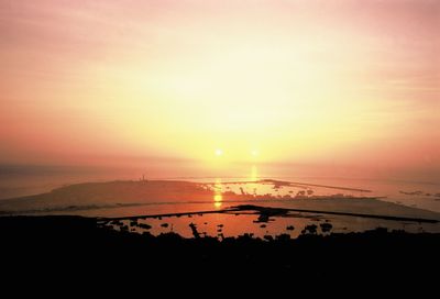 Silhouette of birds flying over calm sea at sunset