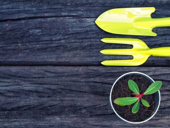 Directly above shot of yellow gardening equipment by potted plant on wooden table