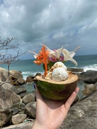 Cropped hand holding plant at sea shore against cloudy sky