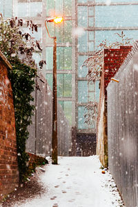 Wet snow covered field