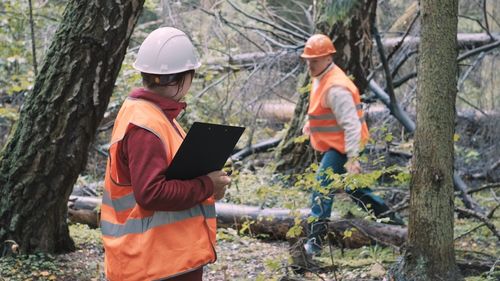 Portrait of man using digital tablet while standing against tree trunk