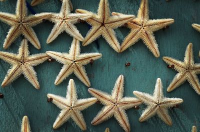 High angle view of starfishes on table