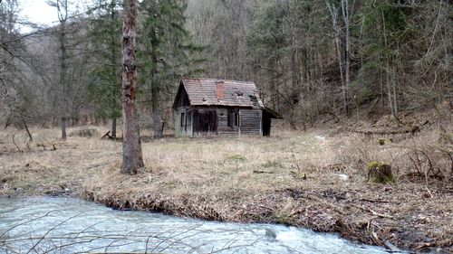 Abandoned house in forest