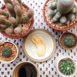 Close-up of bowl on table