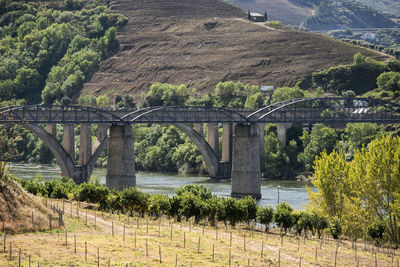 Bridge over river against trees