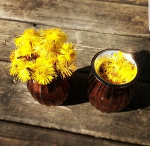 Close-up of wooden plank