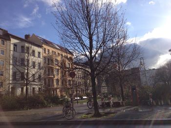 Bare tree in city against sky