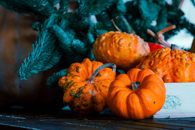 Close-up of pumpkins on table