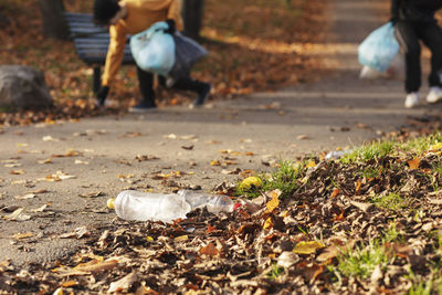 Young male volunteers plogging on footpath by public park