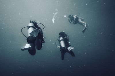 People swimming in sea