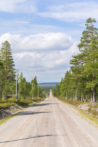 Dirt road with a straight in the woods