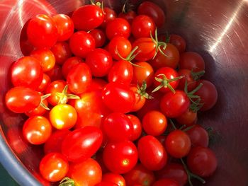 High angle view of tomatoes in container on table