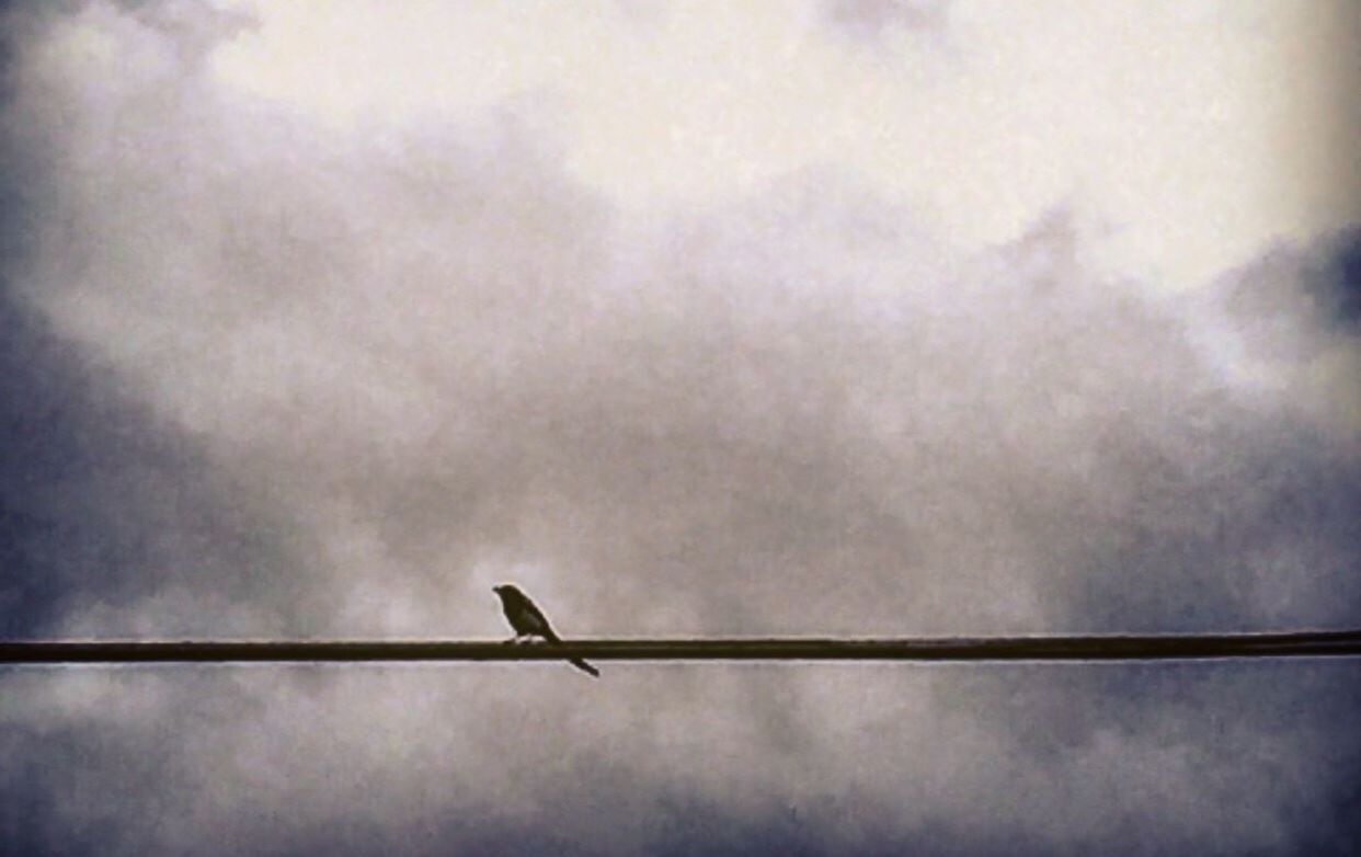 sky, low angle view, cloud - sky, cloudy, weather, overcast, cloud, no people, metal, day, street light, outdoors, lighting equipment, nature, electricity, technology, pole, dusk, cable, connection