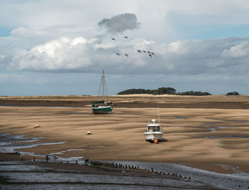 View of sailboats on sea shore against sky