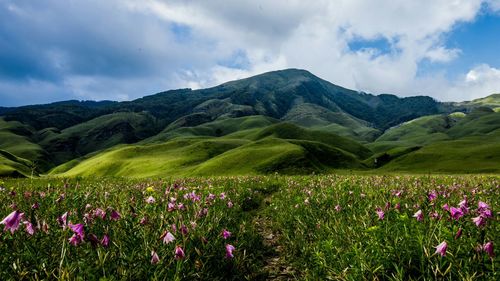 Scenic view of field by mountains against sky