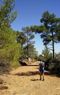 Rear view of man walking by tree against clear sky