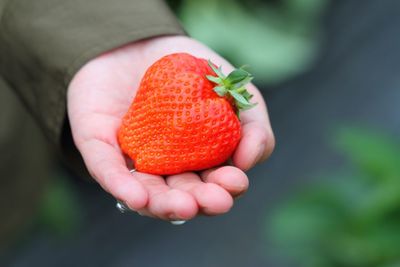 Close-up of hand holding strawberry