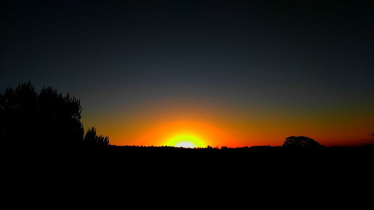 SILHOUETTE OF TREES ON LANDSCAPE