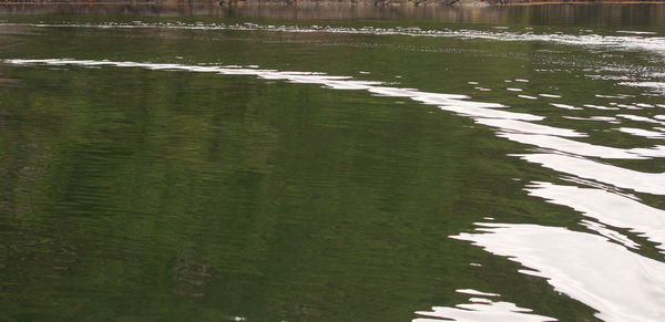 Scenic view of river