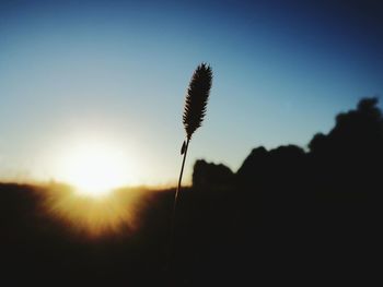 Silhouette of stalks against sky during sunset