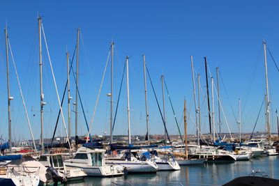 Sailboats moored in harbor against clear blue sky