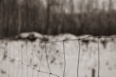 Close-up of barbed wire fence