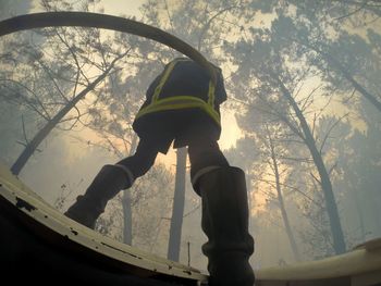 Woman standing on tree trunk