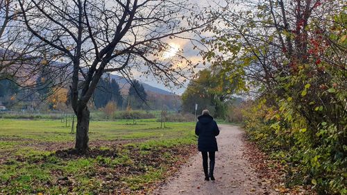 Rear view of man walking on road amidst trees