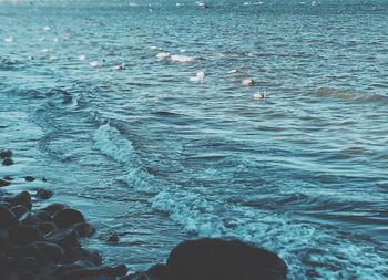 High angle view of swimming in sea