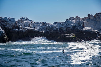 Scenic view of sea against clear sky