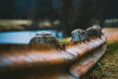 Close-up of rusty metal on field