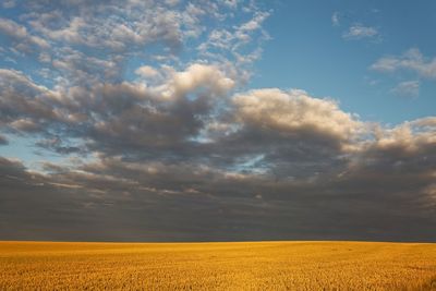 Scenic view of field against cloudy sky