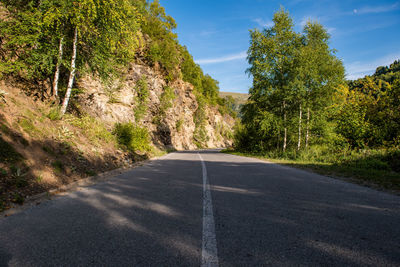 Road amidst trees against sky