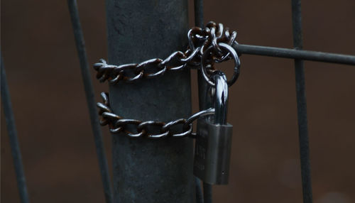 Close-up of chain on metal gate