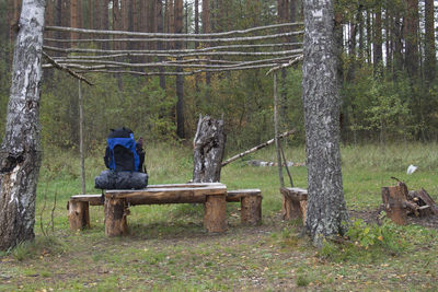 Rear view of man sitting on tree trunk in forest