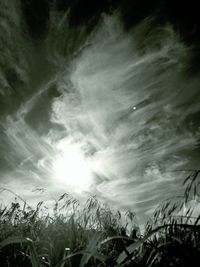 Low angle view of field against sky