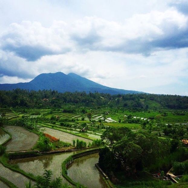 SCENIC VIEW OF LANDSCAPE AGAINST CLOUDY SKY