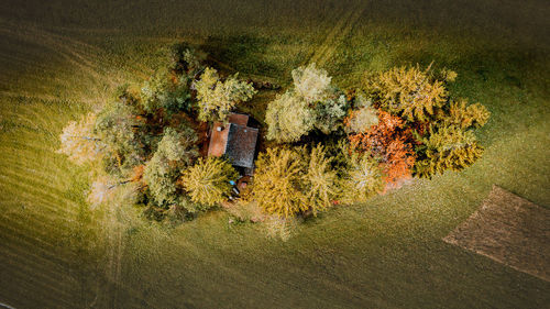 Rear view of woman walking on field
