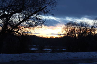 Silhouette bare trees against sky during sunset