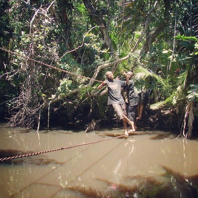 tree, water, growth, nature, plant, forest, motion, day, green color, outdoors, full length, sunlight, park - man made space, one person, branch, waterfront, beauty in nature, tranquility, animal themes, pond