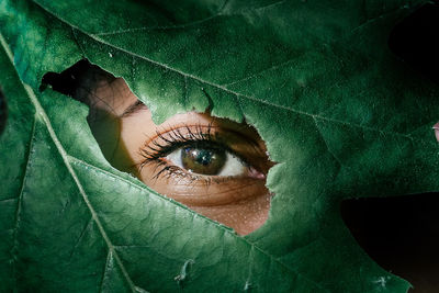 Close-up portrait of woman with green leaf