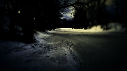 Road passing through trees